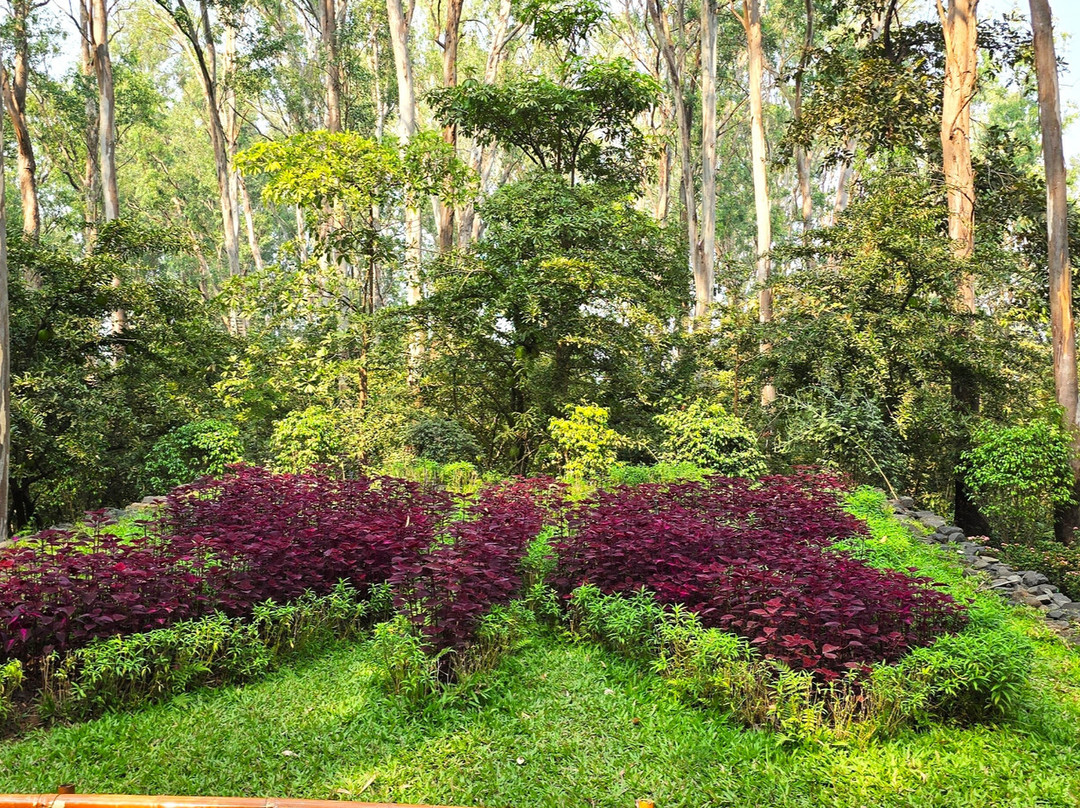 Butterfly Park-Khanvel必去景点