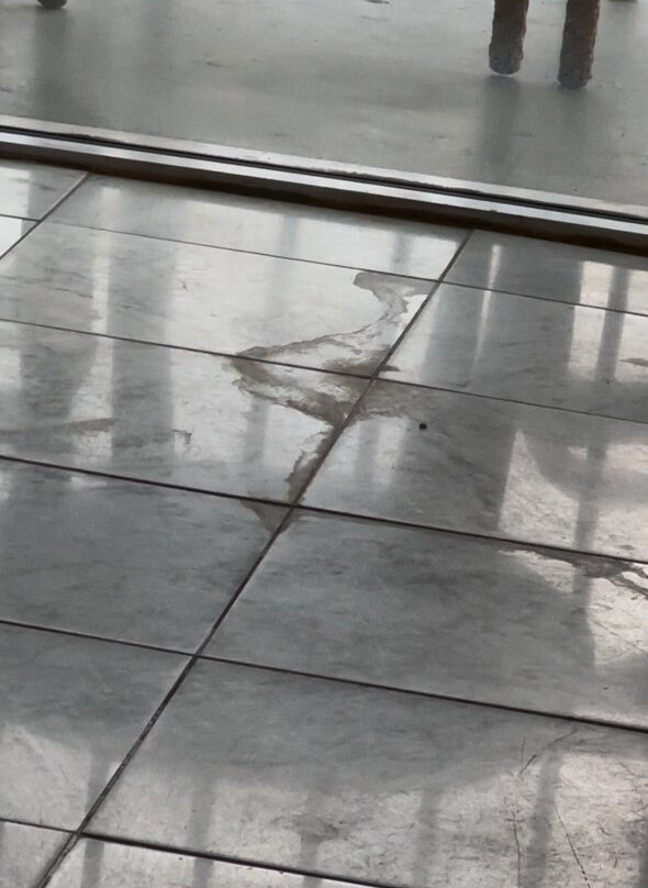 Radisson Aquatica Resort Barbados主图