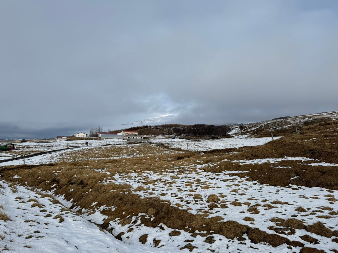 Polar Hestar-阿克雷里必去景点