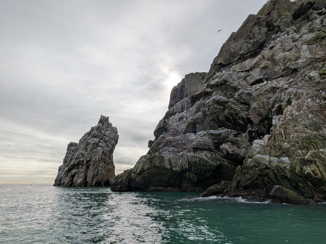 Ireland's Eye Ferries-霍斯必去景点
