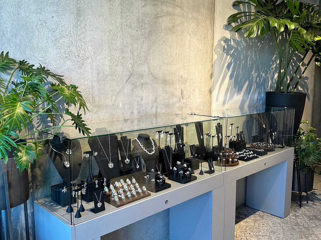Ximena Esquivel Jewelry-埃斯卡松必去景点