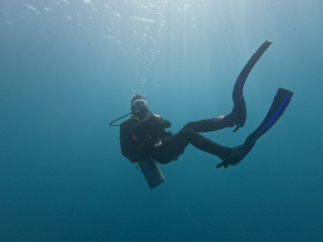 La ventana dive center-La Ventana必去景点