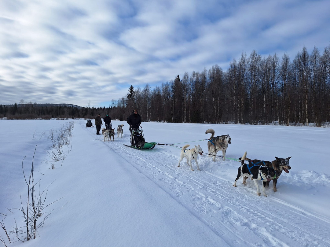 Aavasaksa Adventures-Ylitornio必去景点