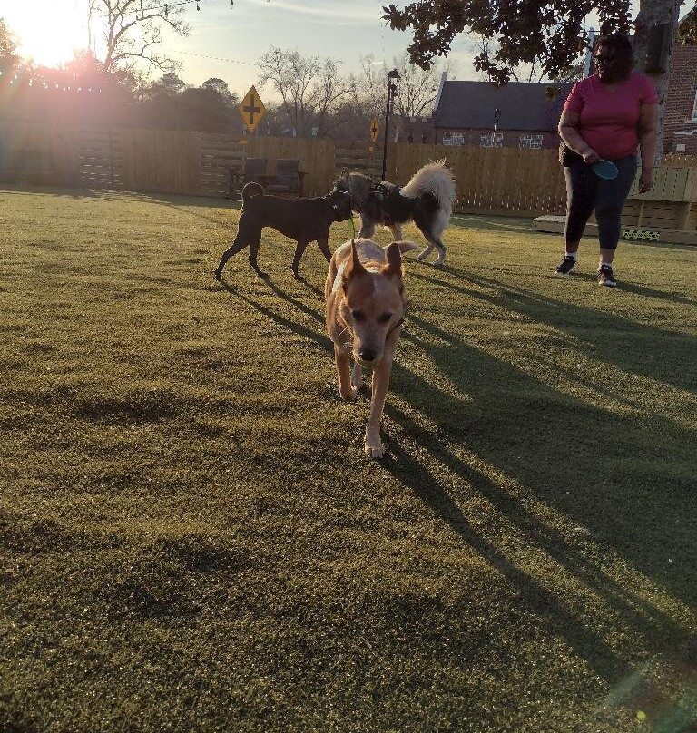 Manchester Dog Park & Social Club-Manchester必去景点