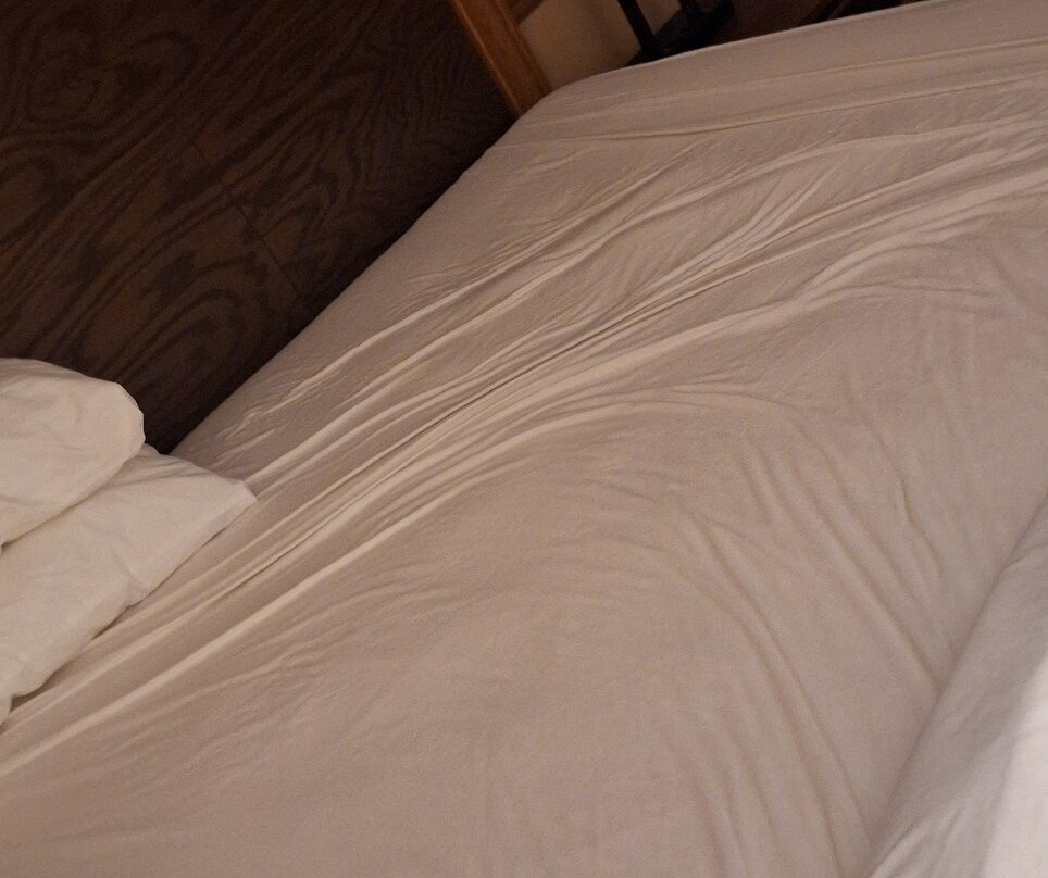 Best Western Parkway Inn & Conference Centre主图