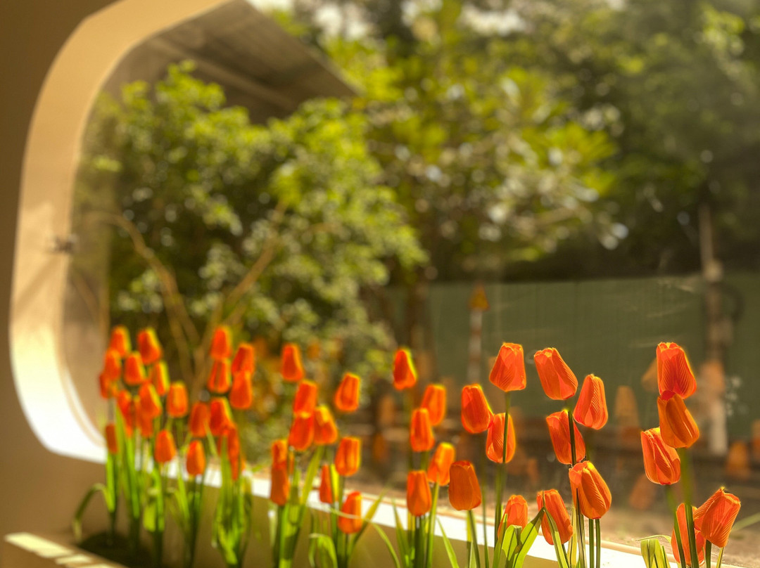 Upside Down House-头顿必去景点