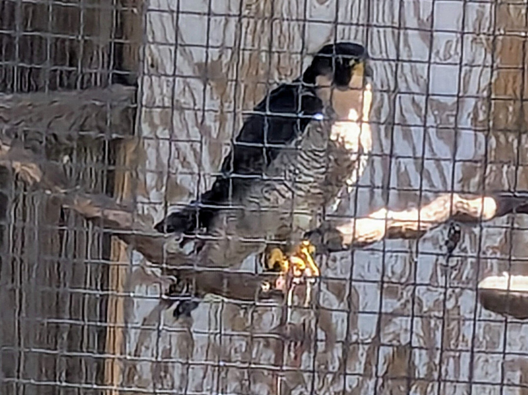 Glen Helen Nature Preserve-Yellow Springs必去景点