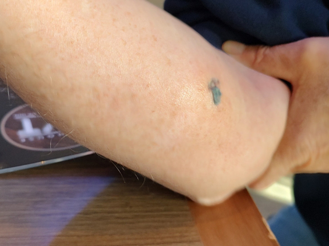 Travelodge Inn & Suites by Wyndham Deadwood主图