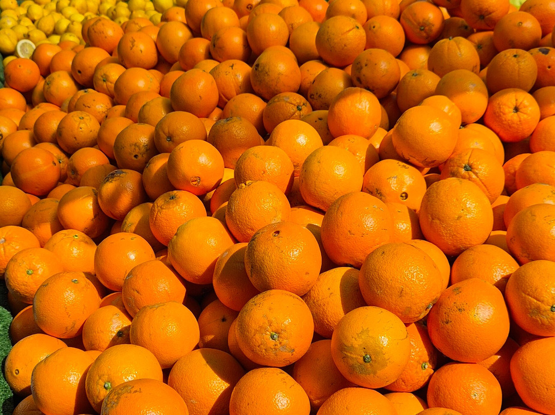Mercadillo Torrevieja景点图片