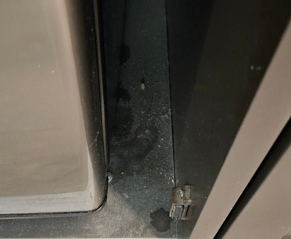 Best Western Space Age Lodge主图