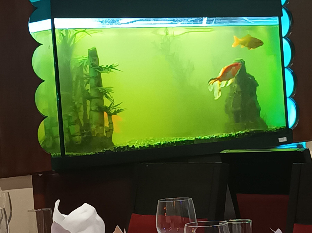 Bombay Bistro Balbriggan