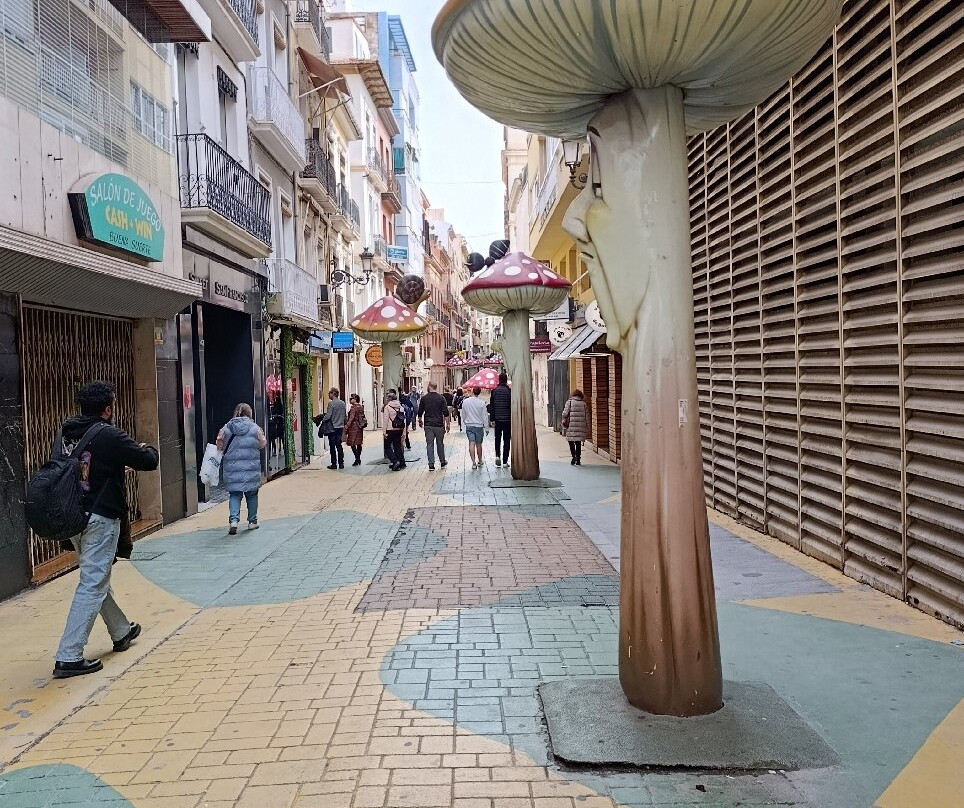 Calle de Las Setas景点图片