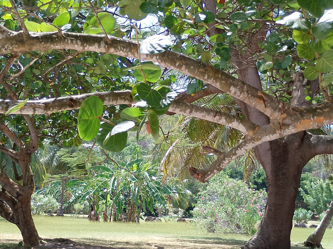 蓝色地平线花园度假酒店主图
