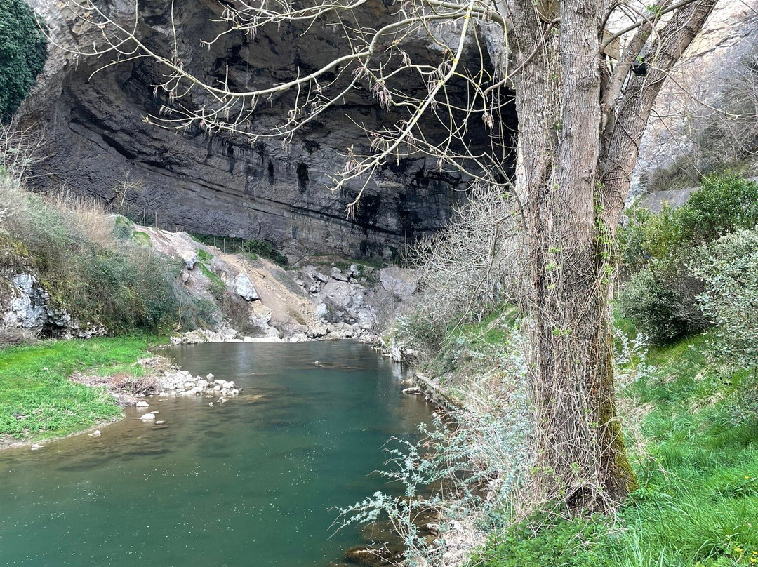 Grotte du Mas d'Azil-Le Mas-d'Azil必去景点