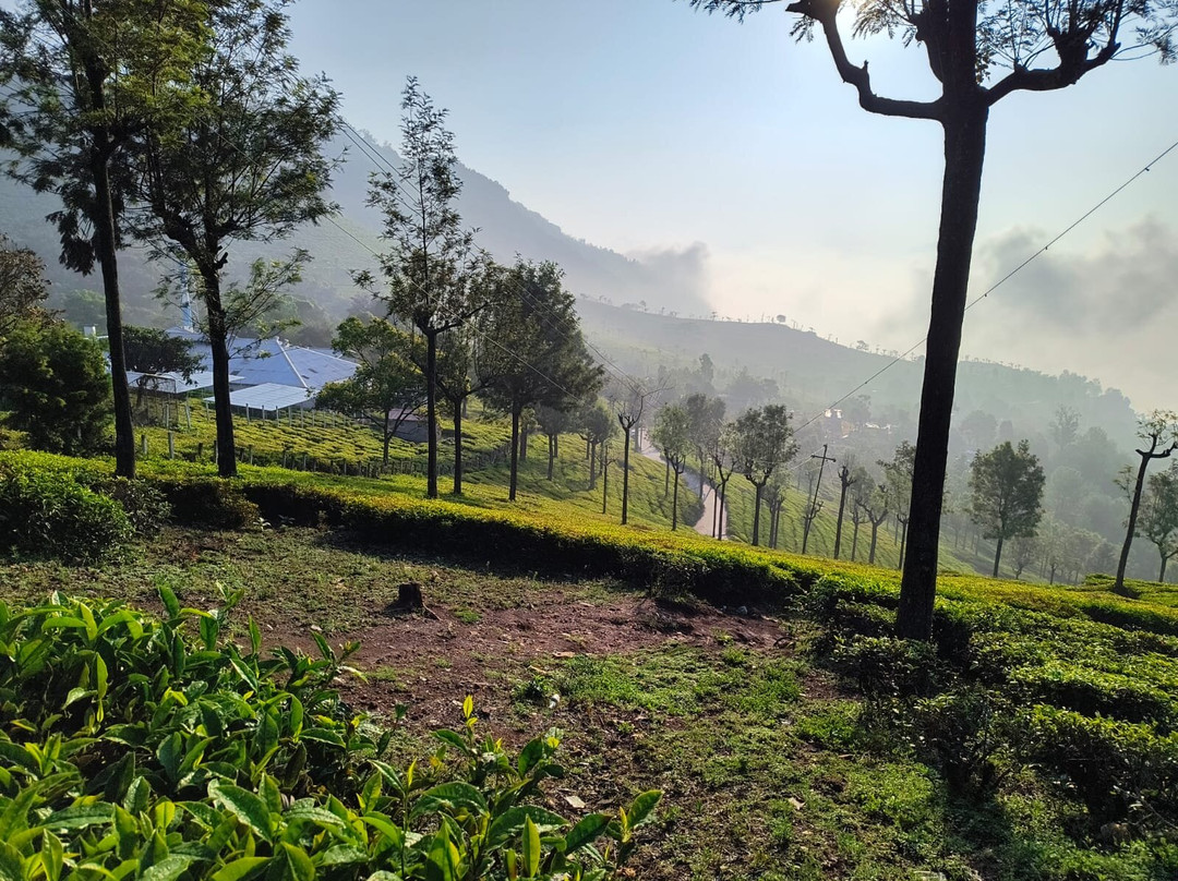 Orchid Square A Boutique Hotel主图