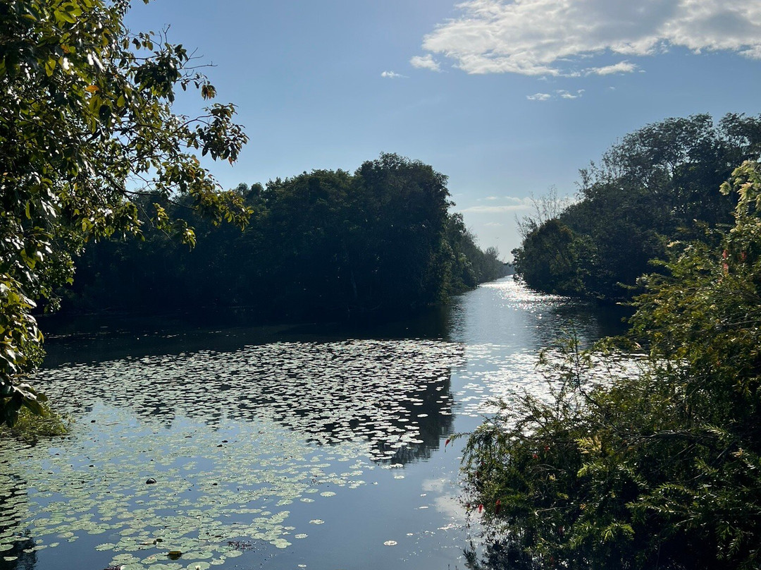 Criadero De Cocodrilos-Playa Larga必去景点