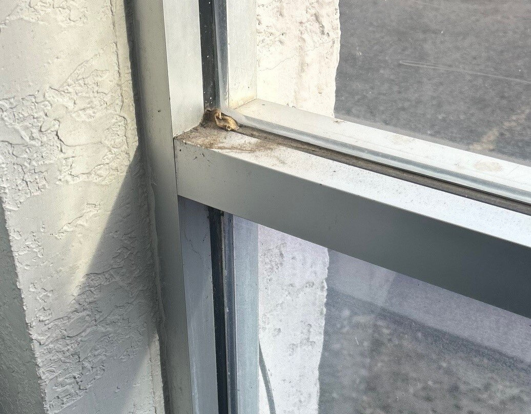 Travelodge by Wyndham Torrington