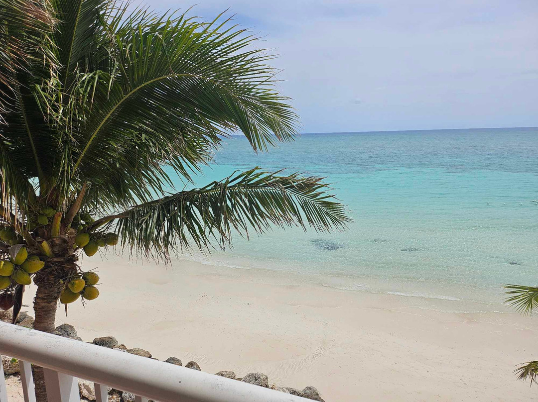 岛海洋度假村主图