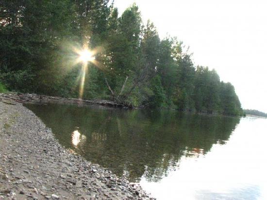 Trout Creek Motel & RV Park-泳池
