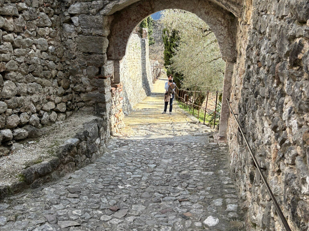 FAI - Castello Di Avio景点图片