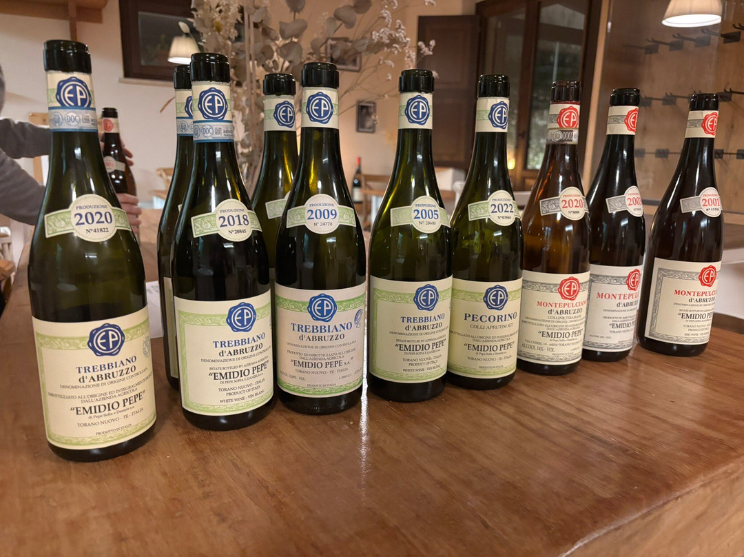 Cantina Emidio Pepe景点图片