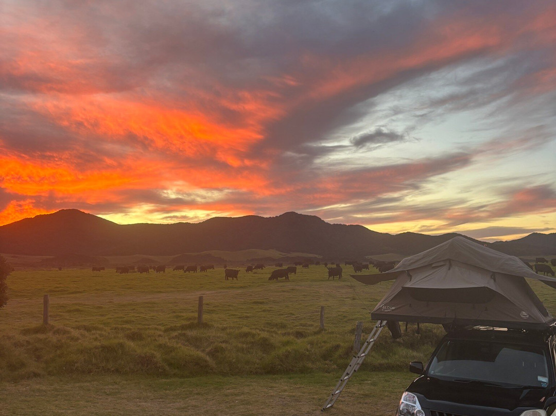 Stay High Island Camping Co.景点图片