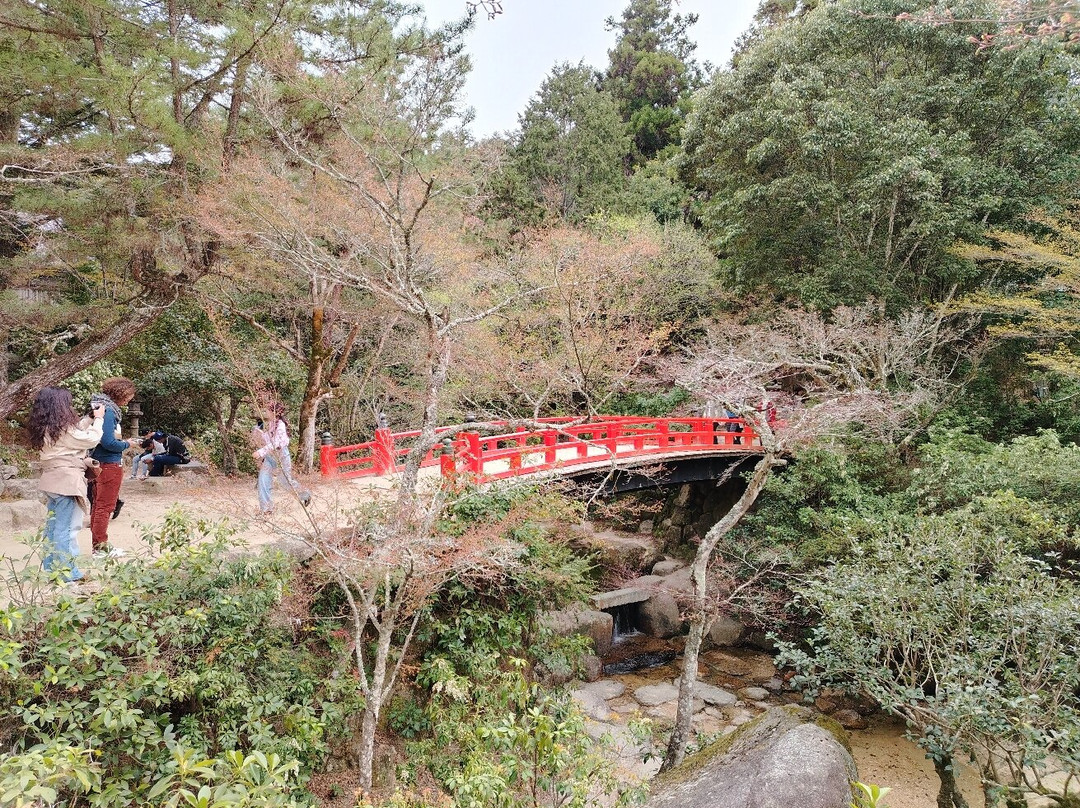 Tomo Park-福山市必去景点