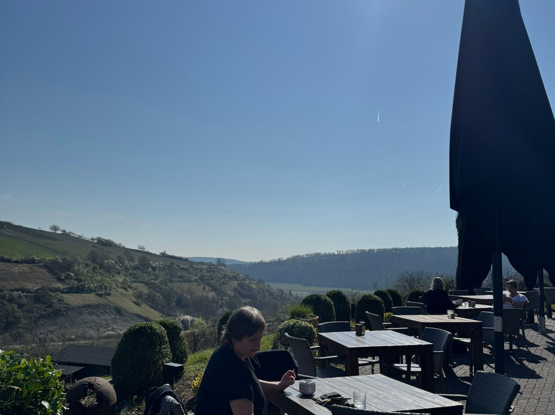 贝克斯坦奈立本霍夫酒店主图