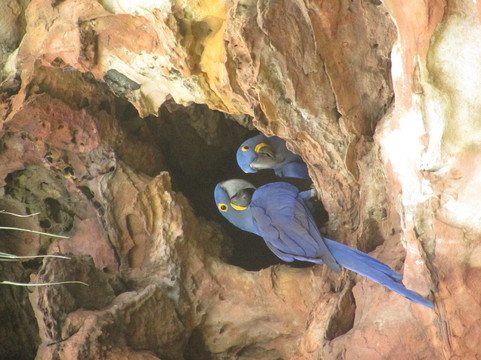Tocantins Adentro-Palmas必去景点