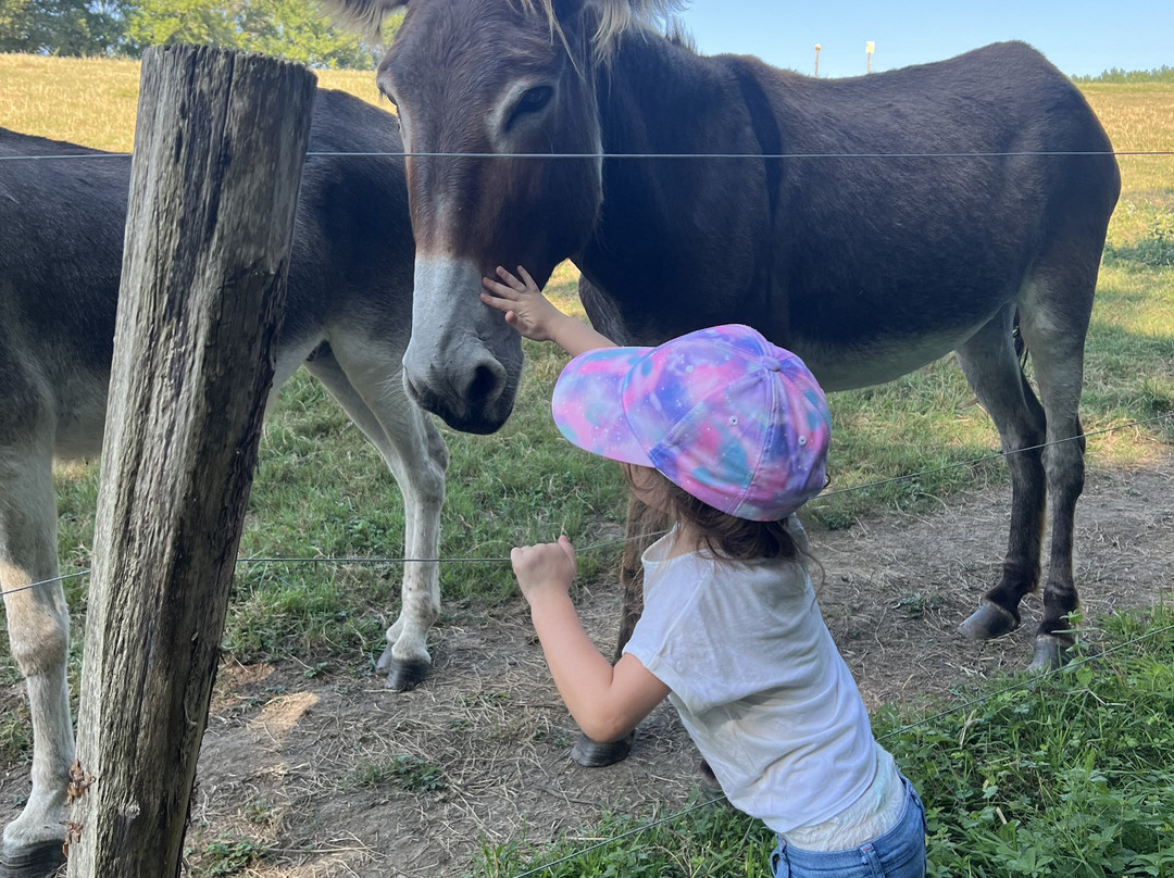 La Chèvrerie Du Grand Pin