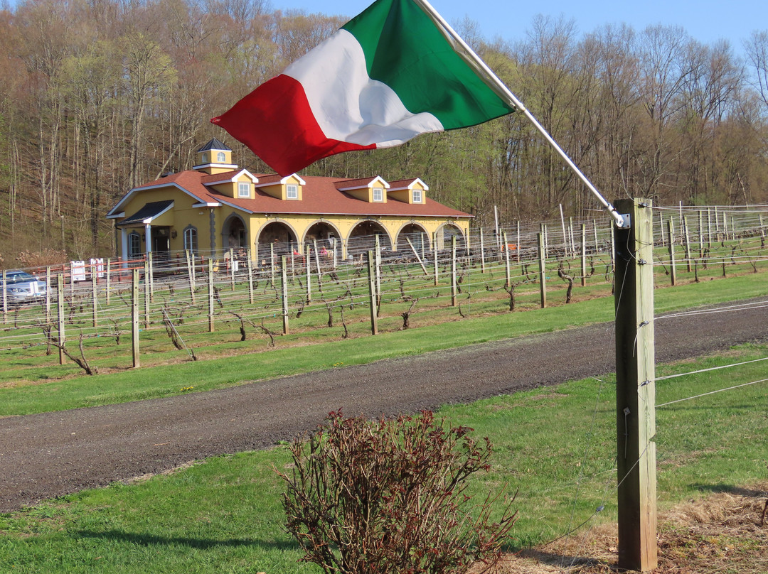 Paradise Hills Vineyard-沃灵福德必去景点