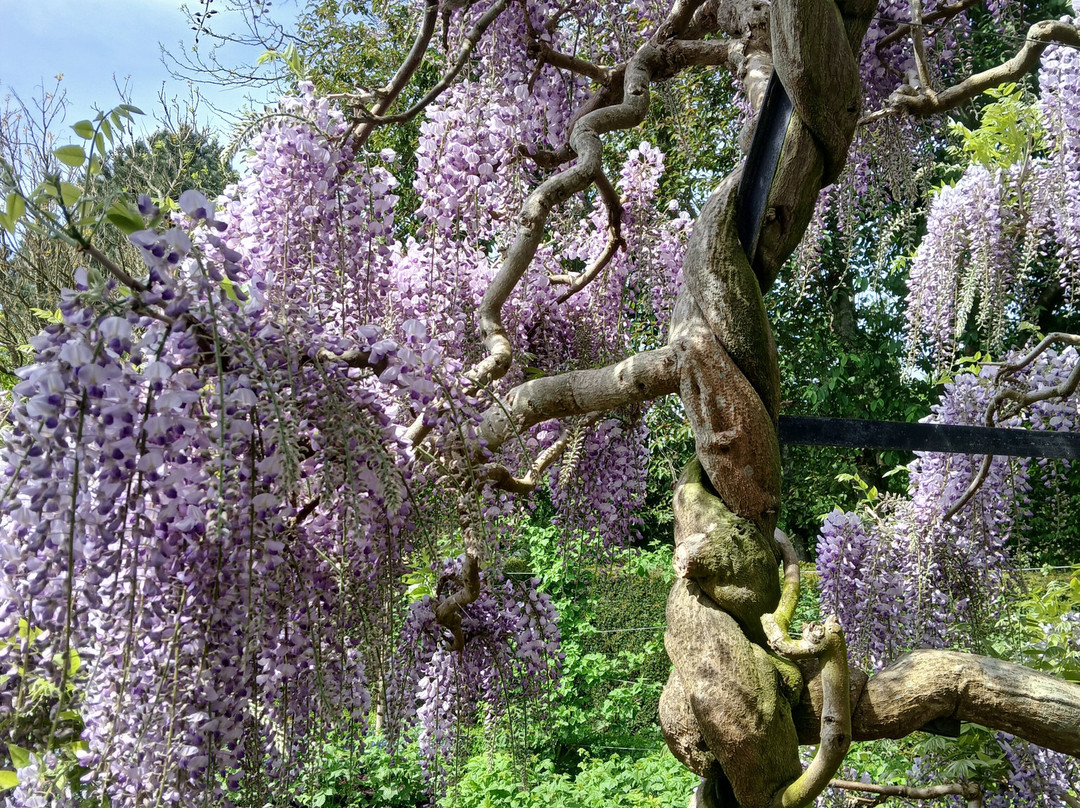 Michelham Priory House & Gardens景点图片