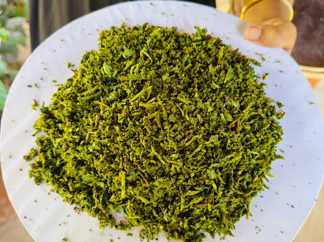 Organic Tea Queen - Ella-埃勒必去景点