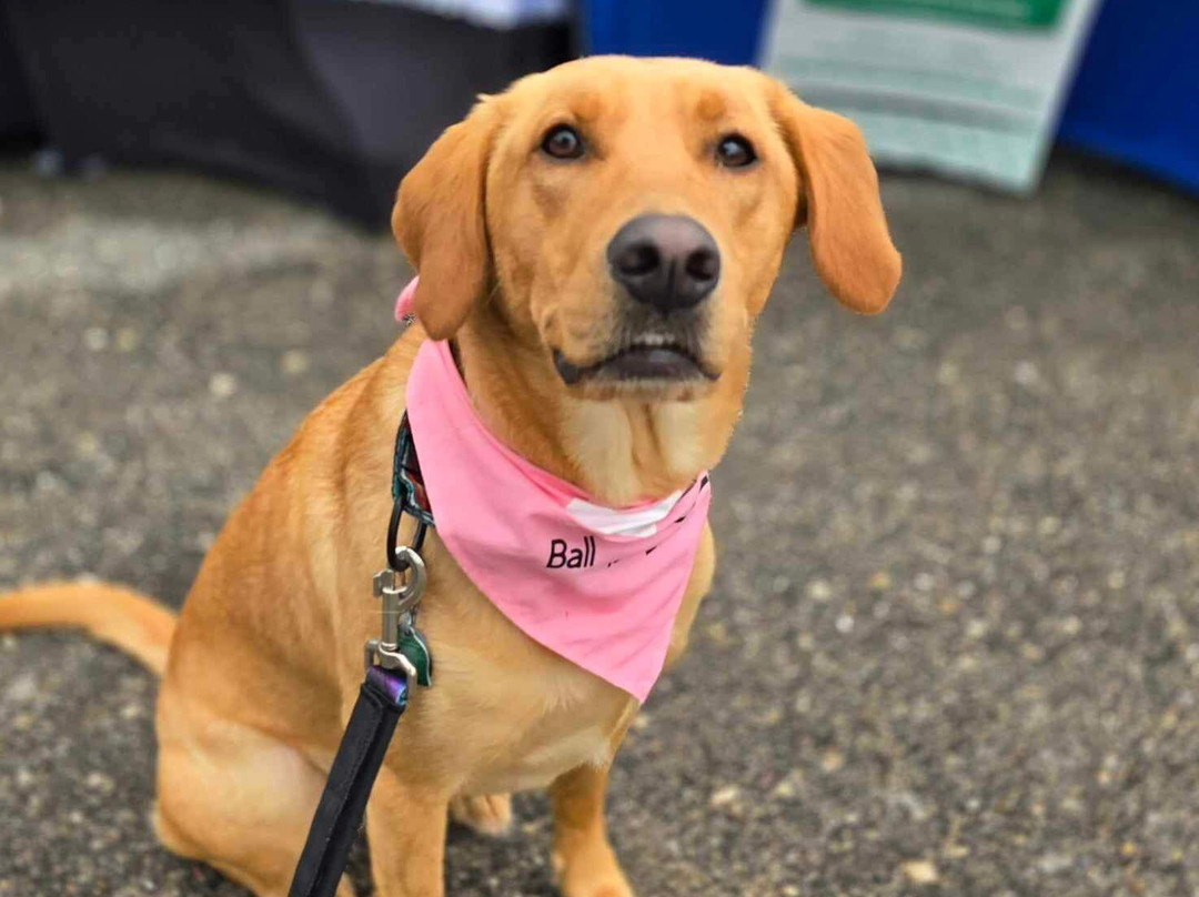 Richfield Wi Farmers Market