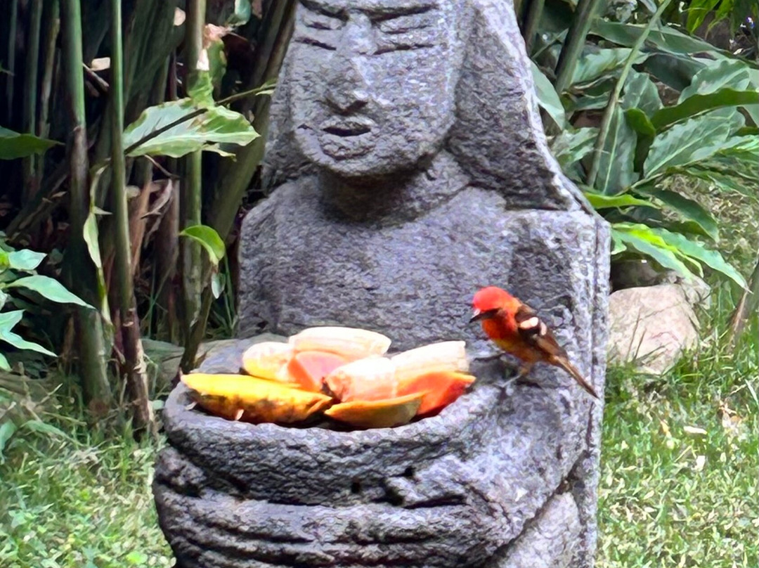 Boquete Garden Inn主图