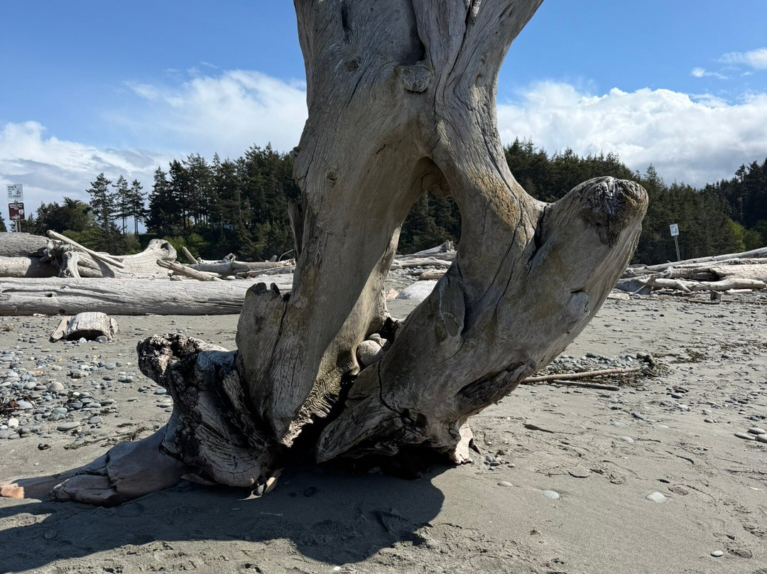 Dungeness National Wildlife Refuge-塞奎姆必去景点