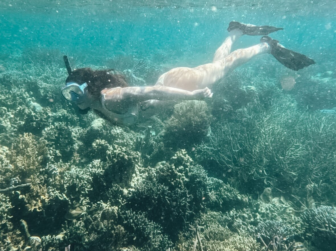 珊瑚花园-科隆必去景点