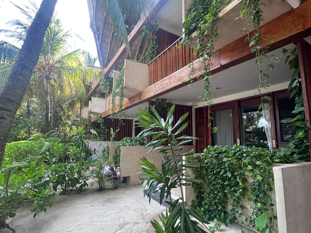 Holbox Island酒店住宿-Villas Caracol