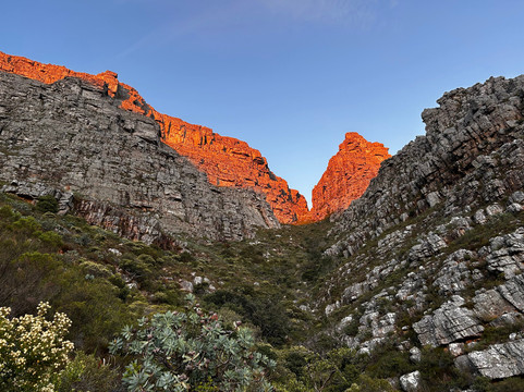 Ruminate-开普敦中心区必去景点