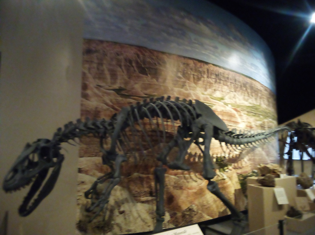 The Journey Museum-拉皮德城必去景点