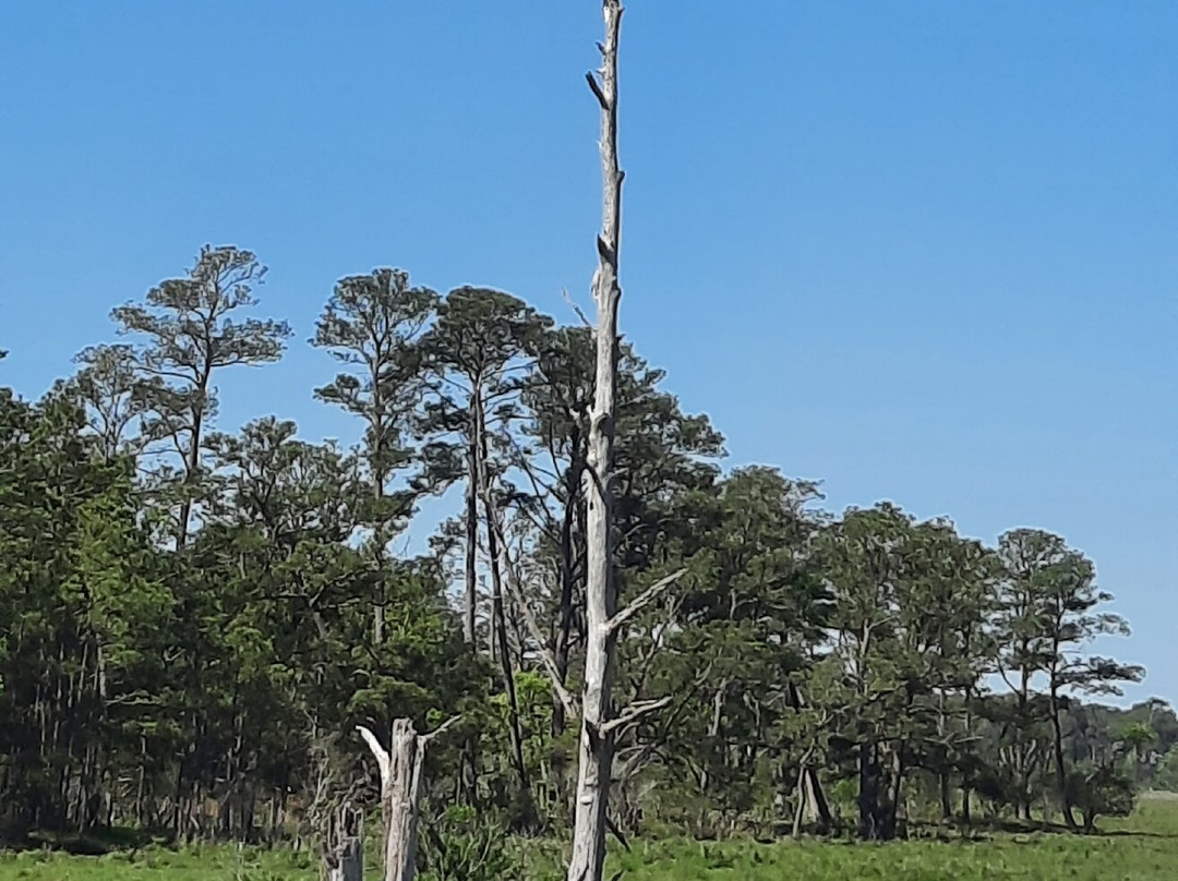 Magical Mystery Bike Tours, LLC-罗阿诺克必去景点