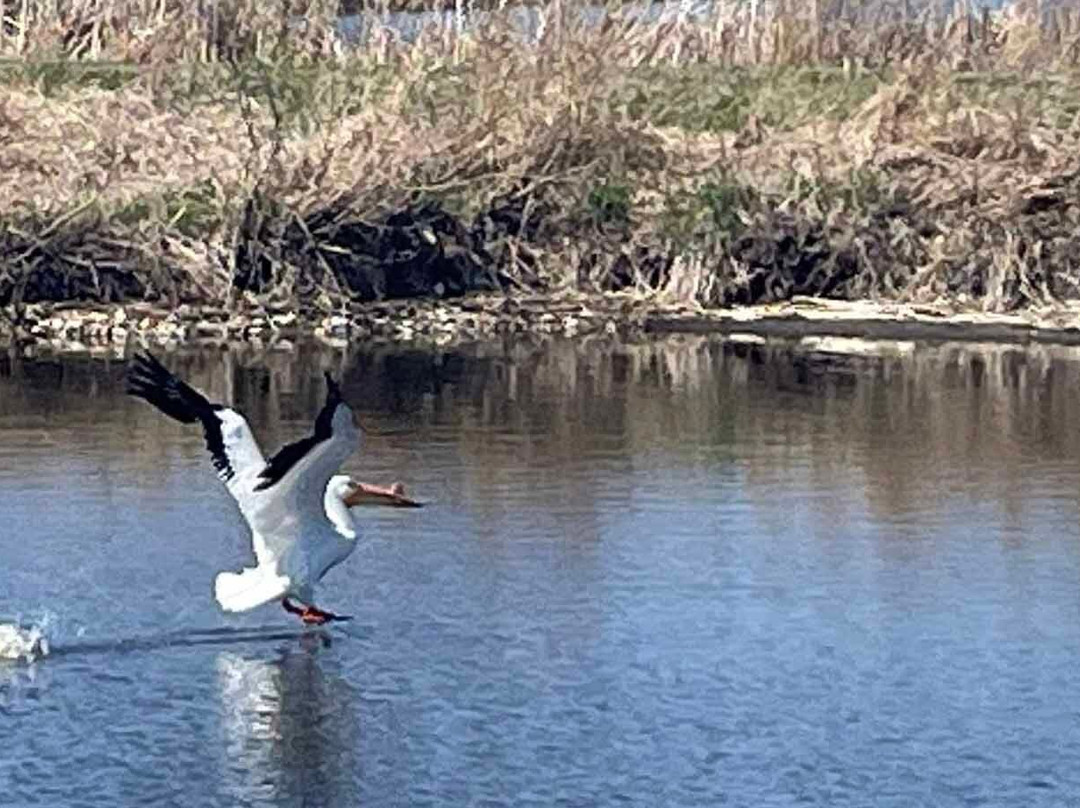 Blue Heron Landing-Horicon必去景点