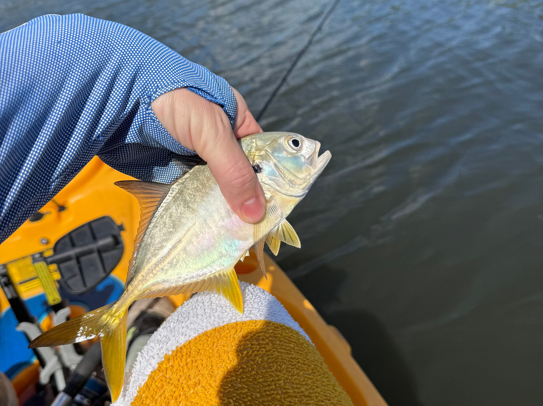 Gulf Coast Kayak-开普科勒尔必去景点