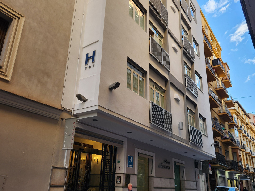 阿纳卡普里住宿主图