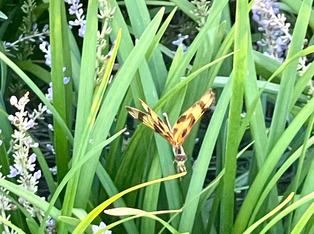 Liberty Park-因弗内斯必去景点