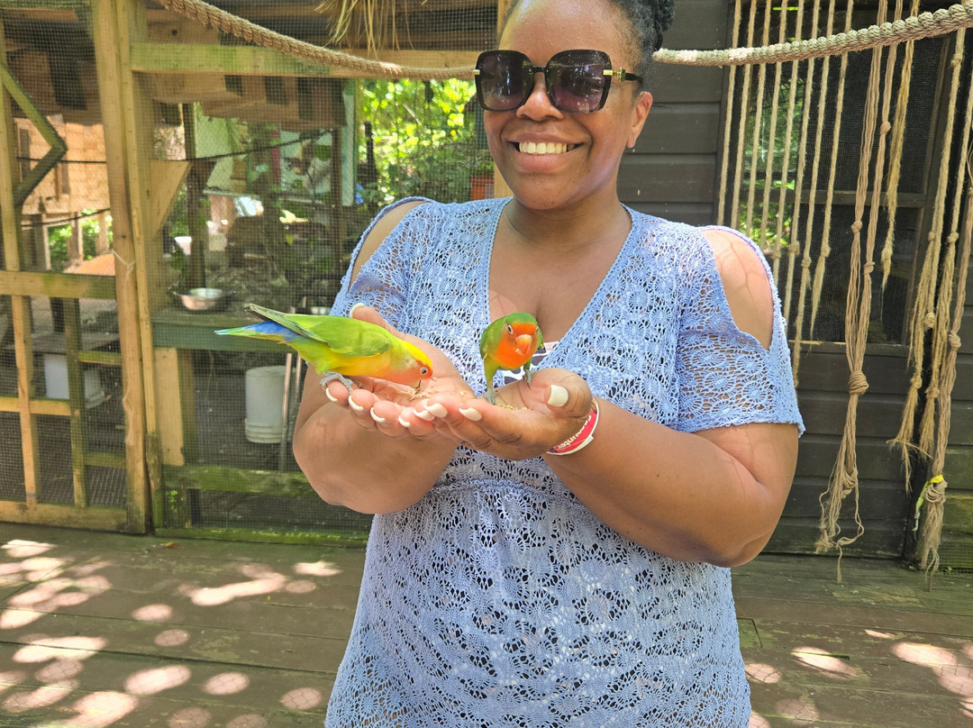 Nexus Tours-蒙特戈贝必去景点