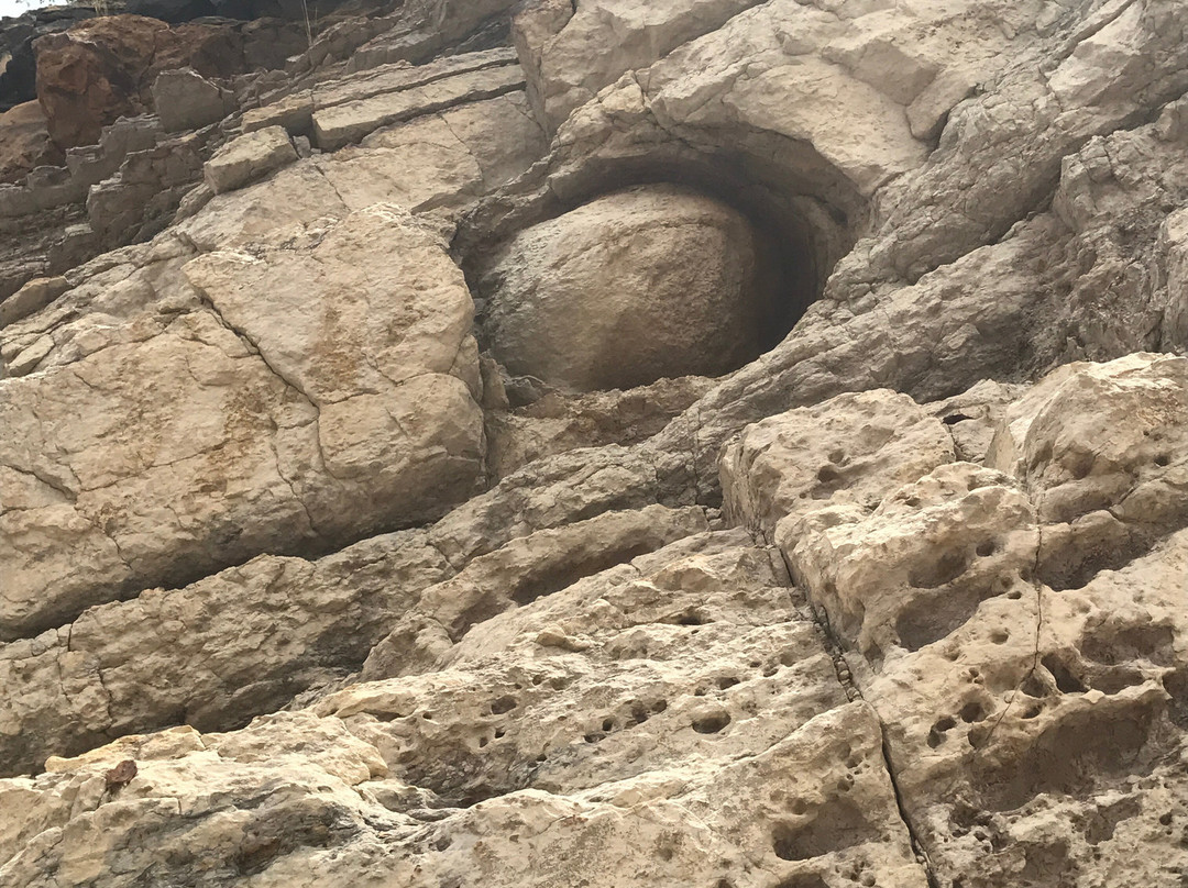 Dinosaur Ridge-Morrison必去景点