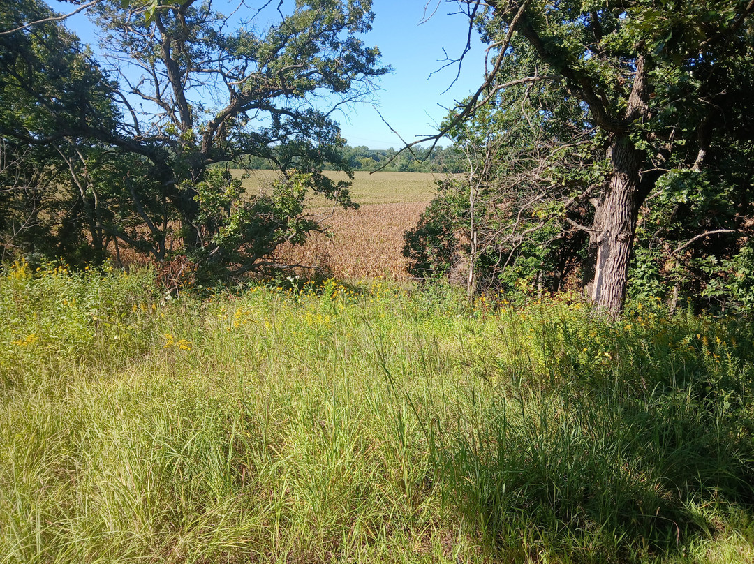 Alcove Springs-Blue Rapids必去景点
