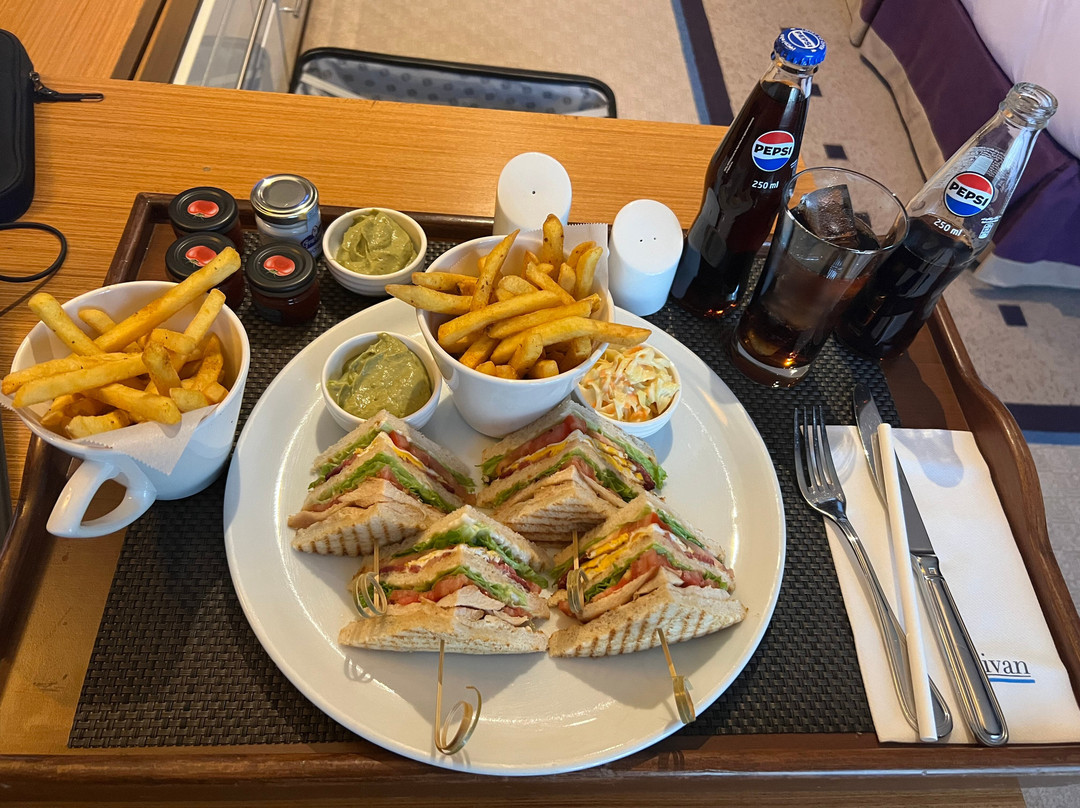 迪万埃尔比勒酒店主图