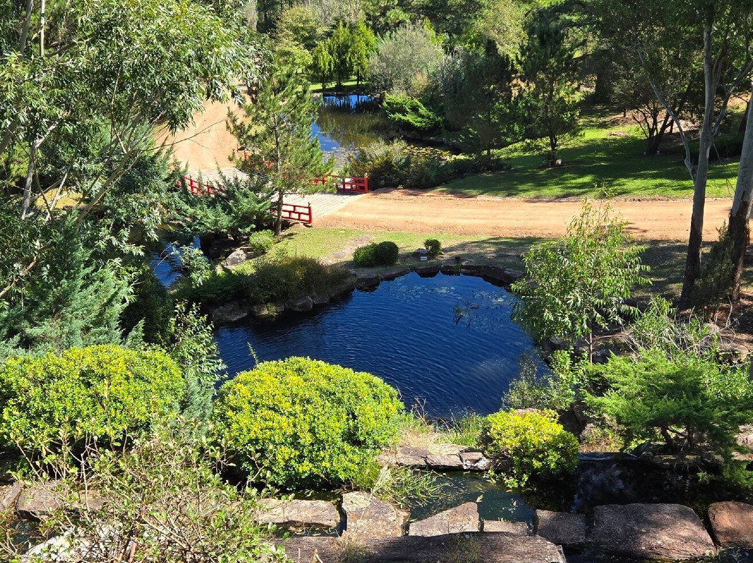 Jardín Japones Punta
